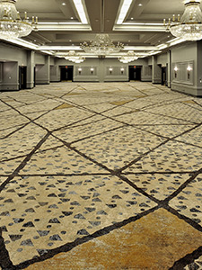 Marriott Society Hill Ballroom